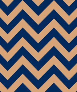 Tan on Navy Chevron